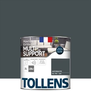TOLLENS Peinture Acrylique Multi-usages 'Couleur Plurielle' Satin