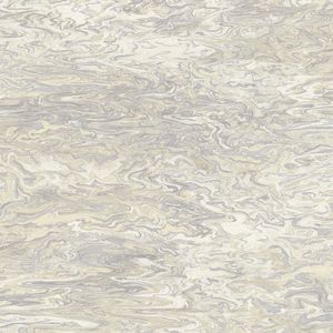 Papier peint intissé Varanasi gris beige - AS0237