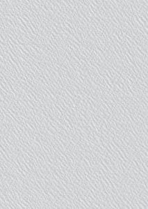Toile de Verre 165 - 165g - CTDV007