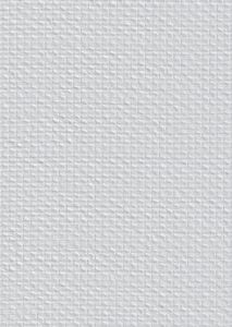 Toile de Verre 209 - 160g - CTDV010