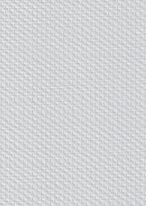 Toile de Verre 608 Pré-peinte et Pré-encollée - 250g - CTDV014