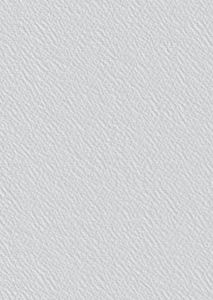 Toile de Verre 204 Pré-peinte - 170g - CTDV021