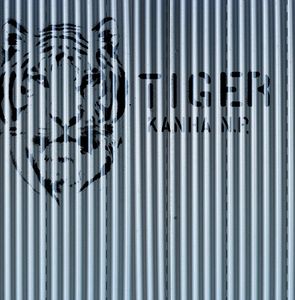 Papier peint panorama Tiger gris gaufrage effet lisse - LU01435
