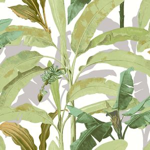 Papier peint intissé Java feuilles de bananier vert - MO00535
