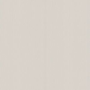 Papier Peint Expansé sur Intissé - Uni - Beige