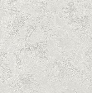 Papier Peint Expansé sur Intissé - Taloché - Gris clair - PBI2582