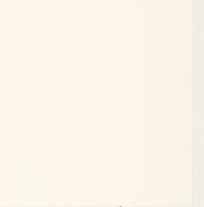 Papier Peint Expansé sur Papier - Toilé - Blanc