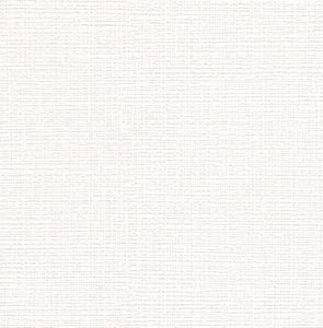 Papier Peint Expansé sur Papier - Textile - Blanc