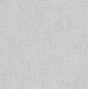 Papier Peint Expansé sur Papier - Crépi - Gris