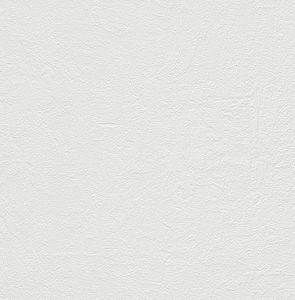 Papier Peint Expansé sur Papier - Crépi - Blanc