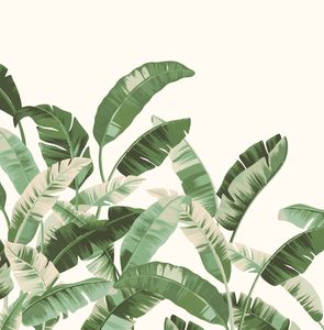 Papier peint panorama Magic Walls feuilles de bananier vert - RA00530