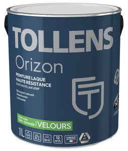 Laque intérieure - Teintable - Haute résistance - Orizon Velours Premium